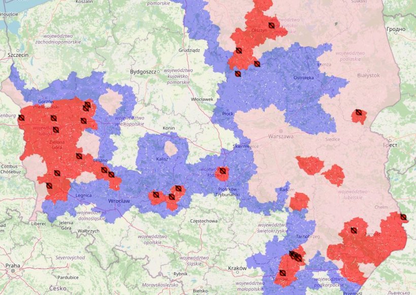 African swine fever outbreaks in domesticated pigs in 2021. (Red dots) Source: GVI